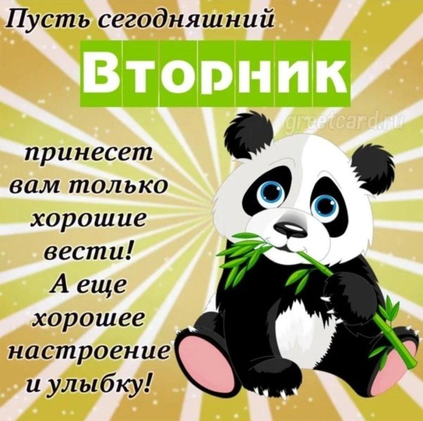 панда мультяшная