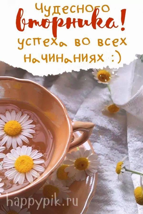 ромашковый чай