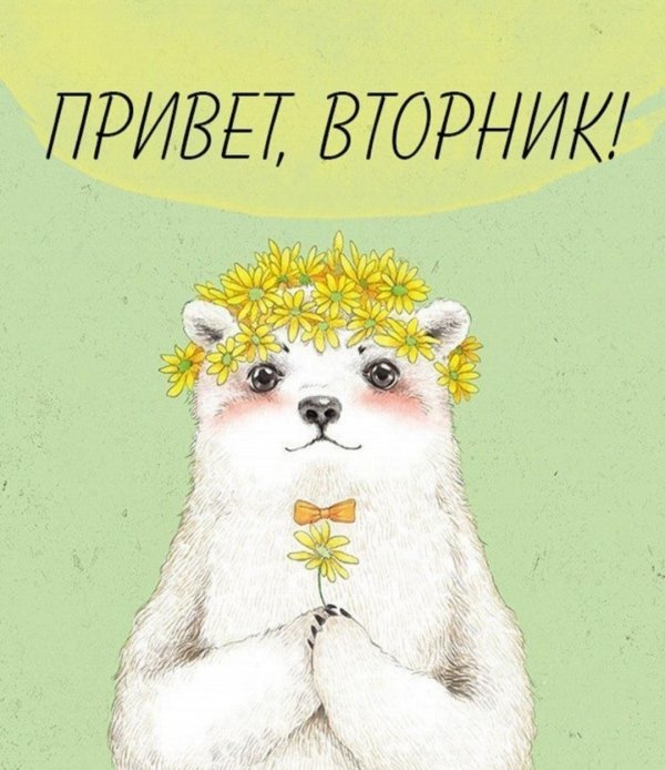 доброго утра вторника прикольные