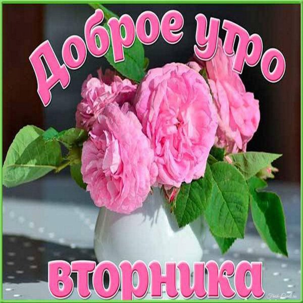 поздравление со вторником