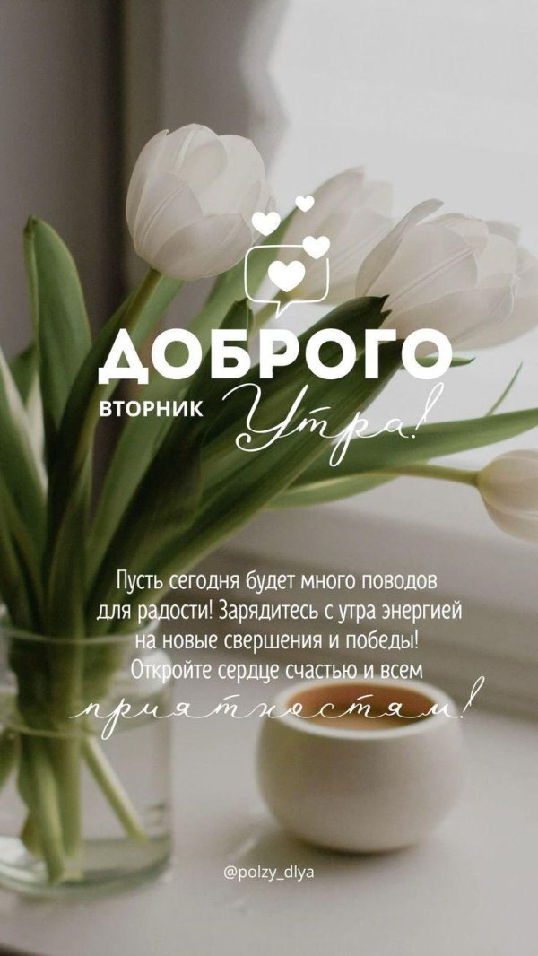 утро вторник