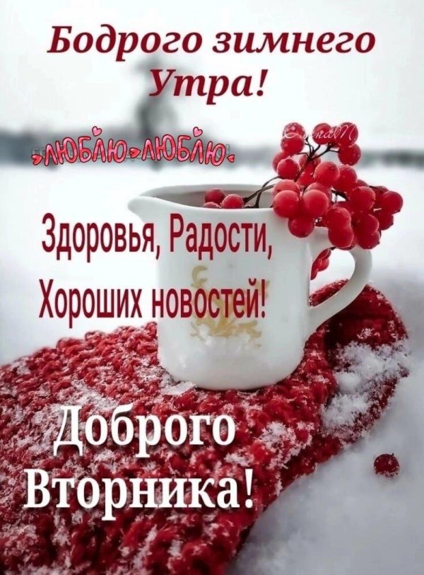 доброго зимнего утра вторника