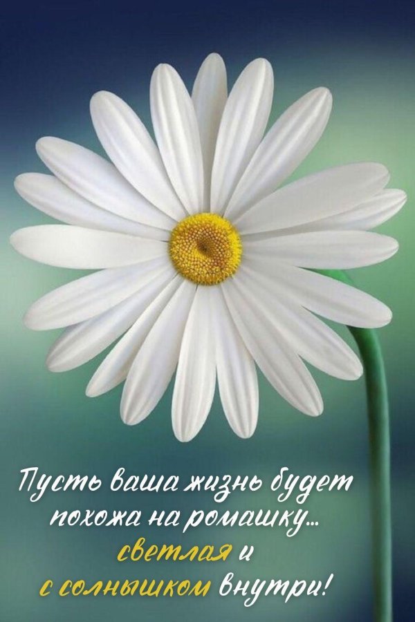 пожелание на каждый день