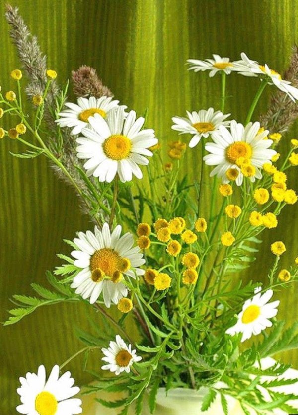 летний букет