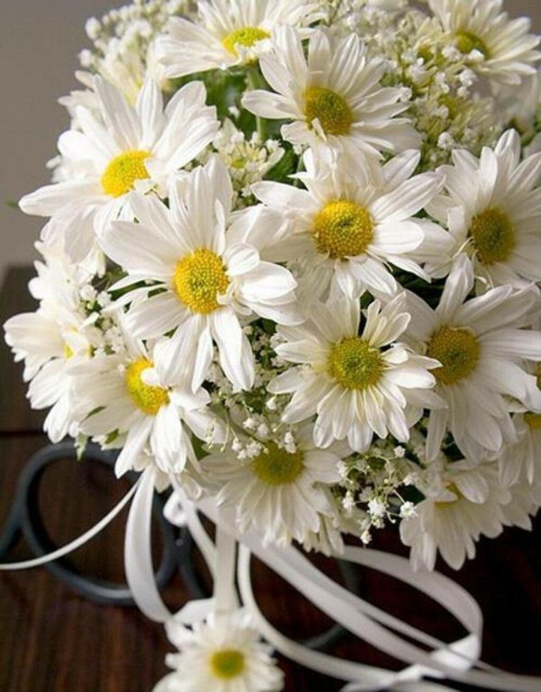 ромашка матрикария букет