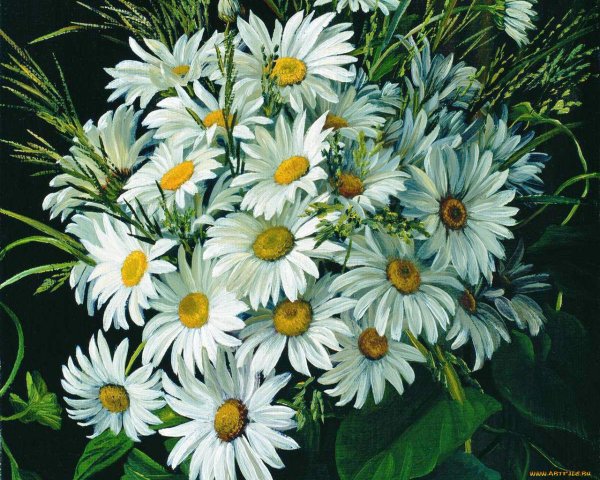 арсенюк юрий михайлович ромашки