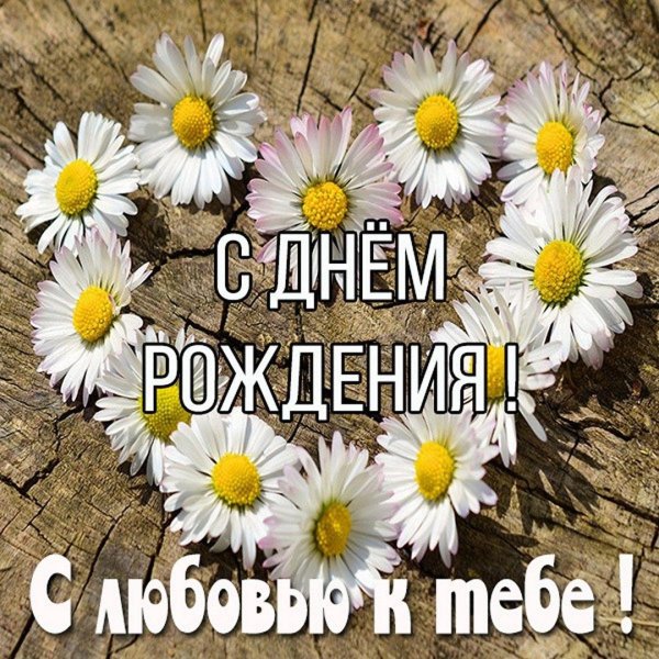 открытка ромашки для наташки