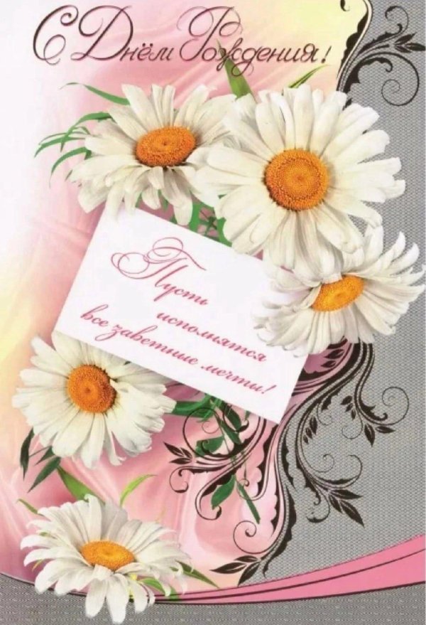 поздравление с днем рождения ромашки