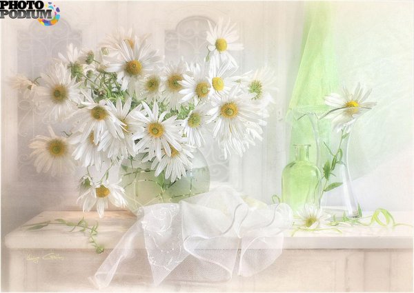 луиза гельтс фотонатюрморты