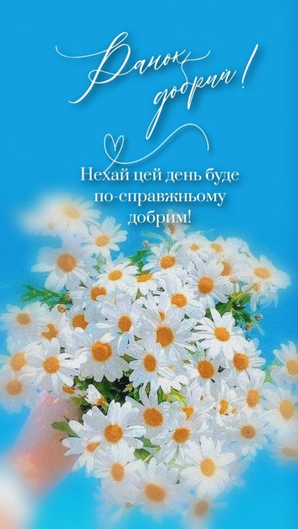 ромашка красивая