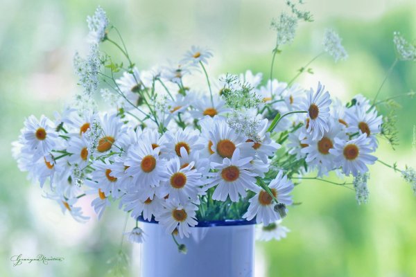 букет ромашек