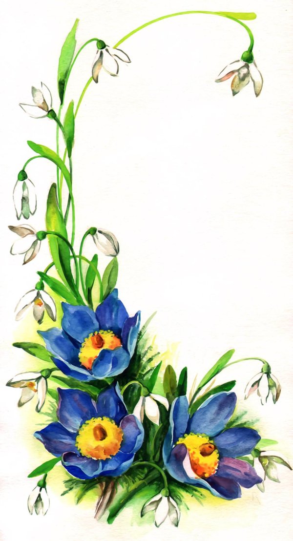 весенние цветы акварель