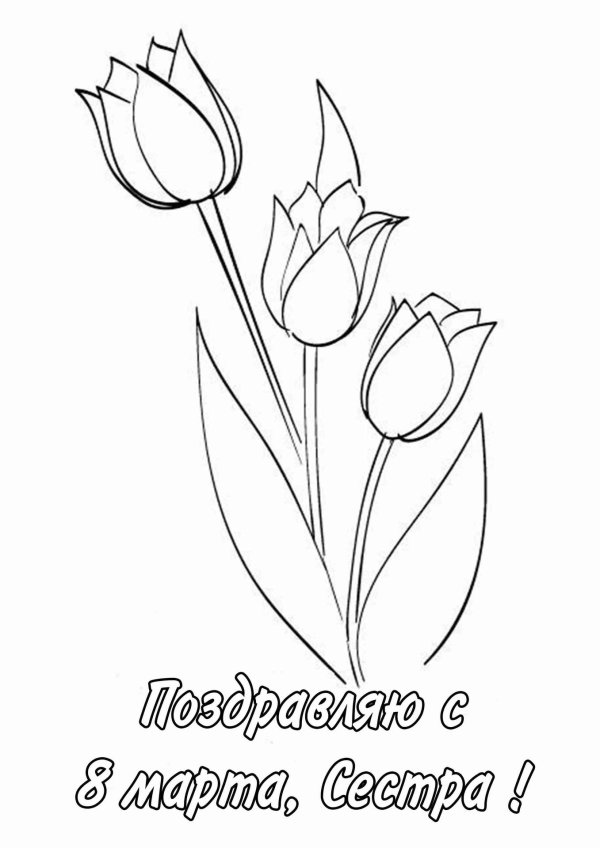 раскраска тюльпан