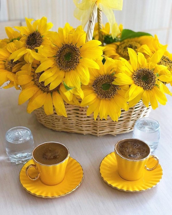утро подсолнухи