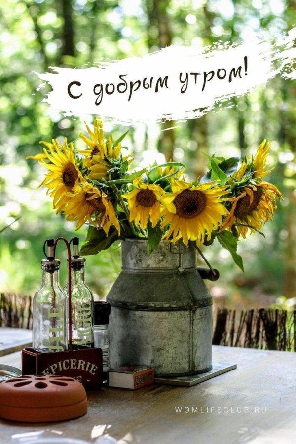 доброго утра август