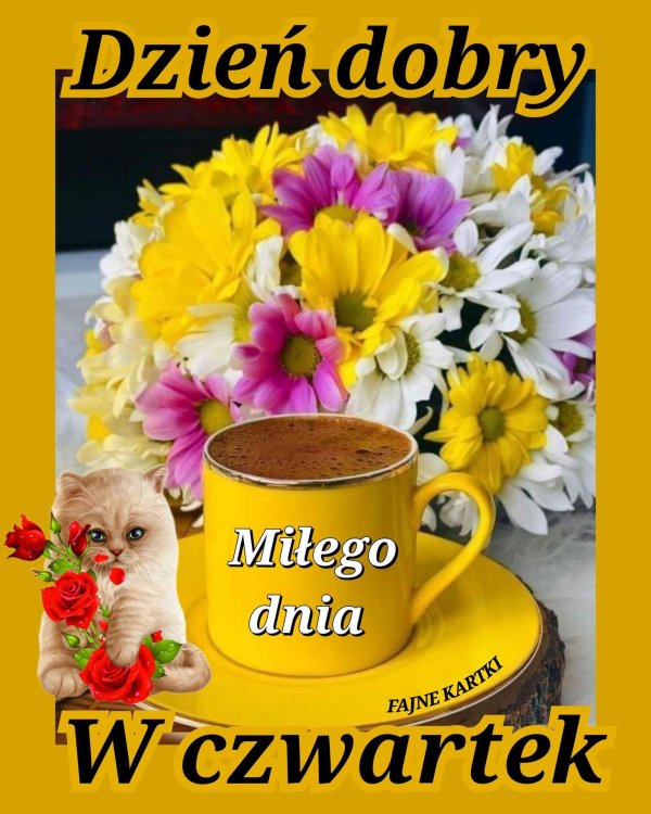 dzien dobry