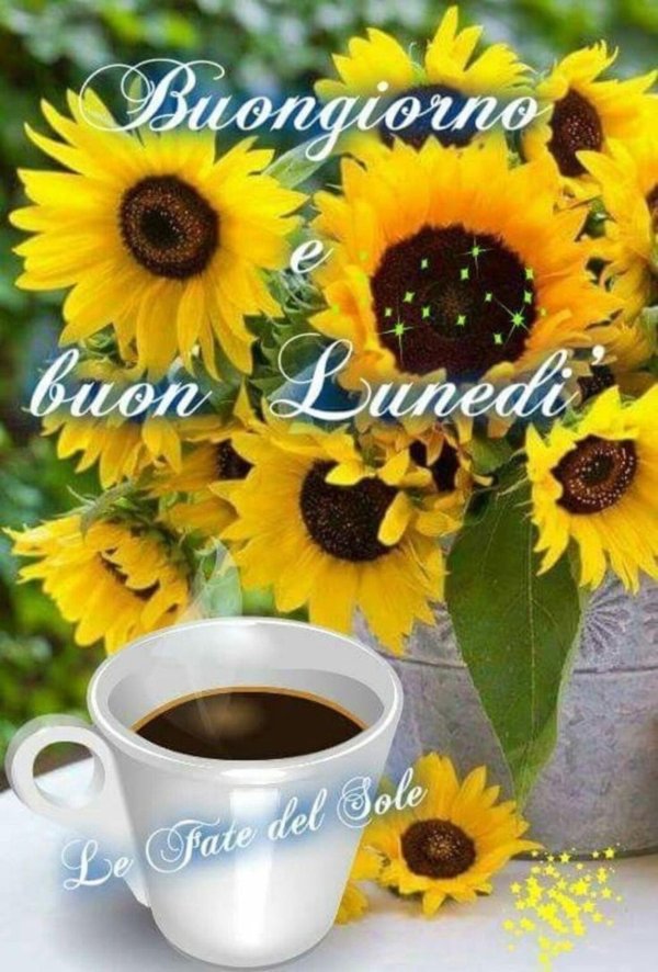 buongiorno buon pomeriggio