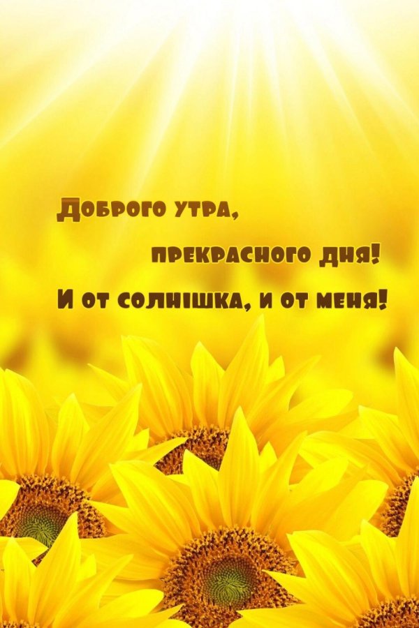 доброе утро солнечного дня и хорошего настроения