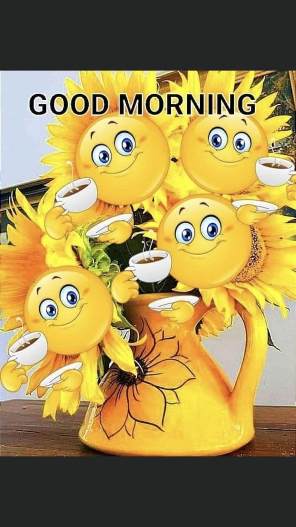 good morning good morning