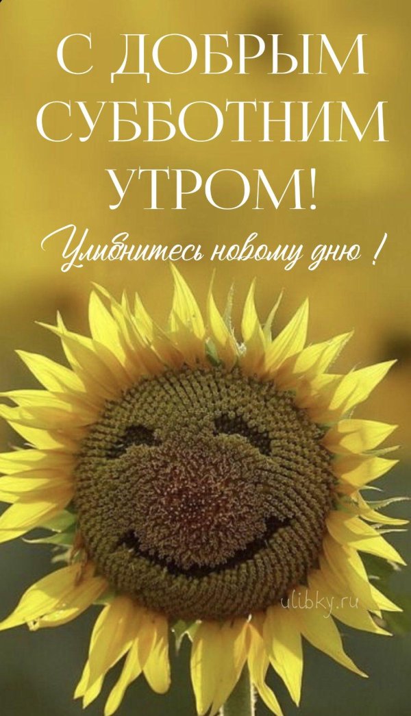 улыбающийся подсолнух