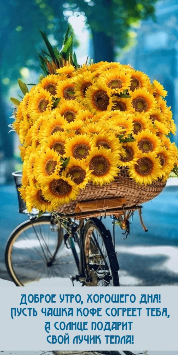 доброго утра летнего