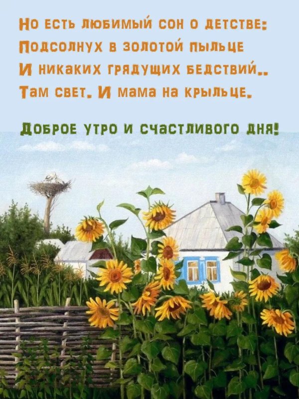 с добрым утром подсолнухи