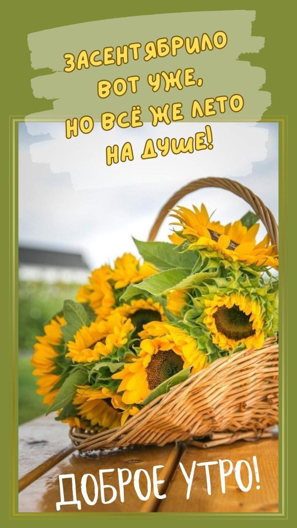 доброго утра август