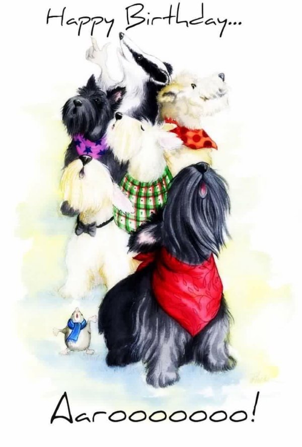 скотч терьер