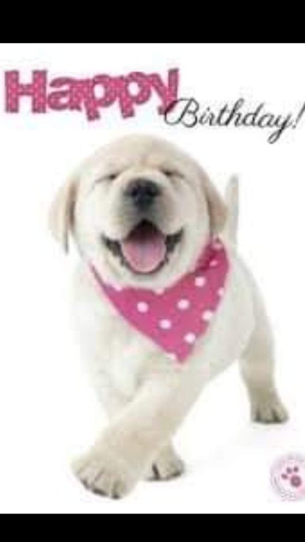 с днем рождения щенок