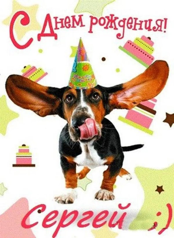 день рождения собаки поздравление