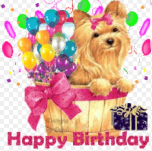 с днем рождения йорк