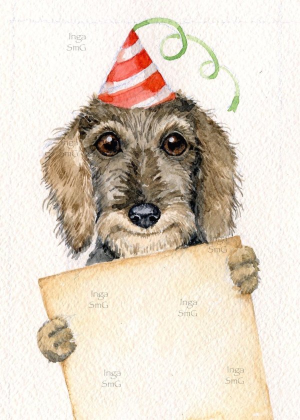 инга измайлова иллюстрации таксы