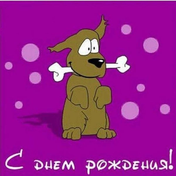 день рождения собаки поздравление