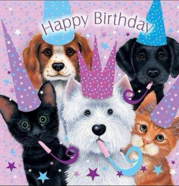 с днём рождения собачки открытки