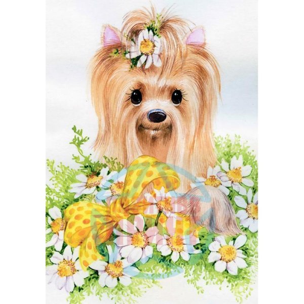 йоркширский терьер