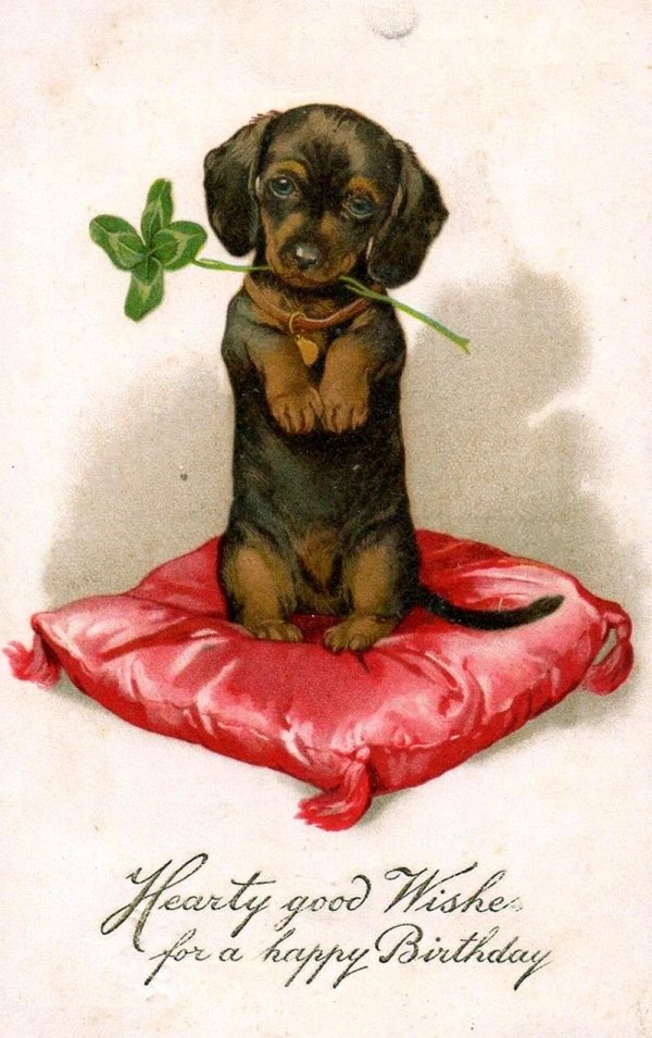 старинные открытки с таксами