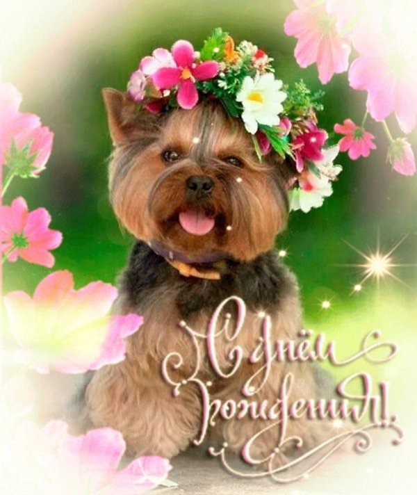 день рождение