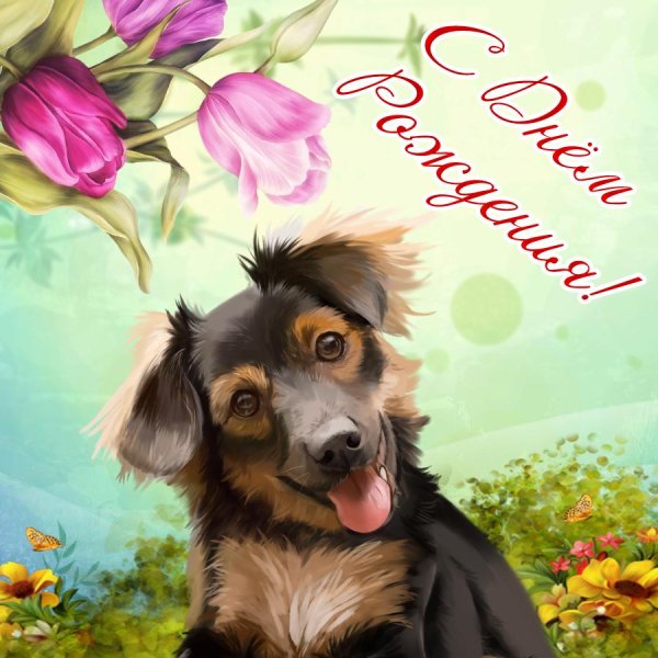 собака иллюстрация