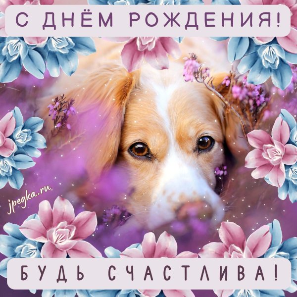 открытки и поздравления