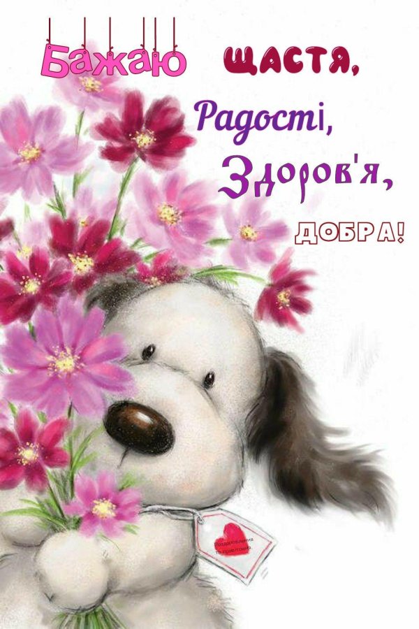 поздравительная открытка