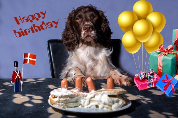 открытка поздравление с собаками