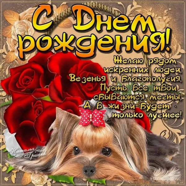 день рождение