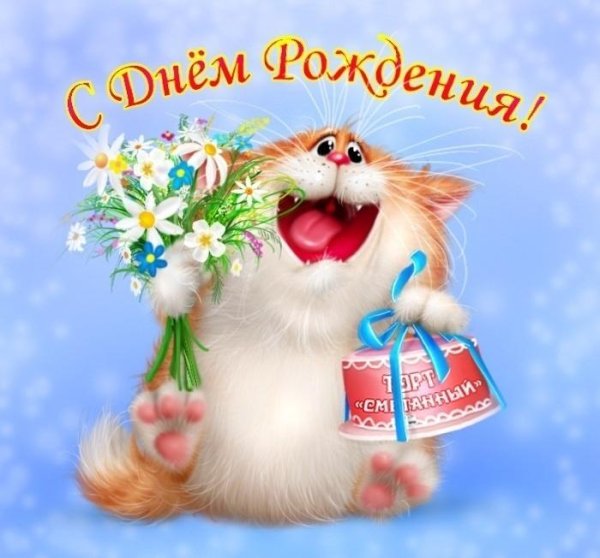 котики алексея долотова