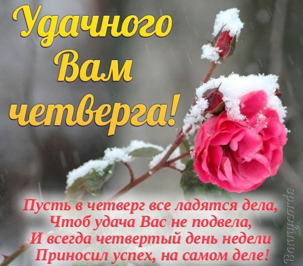 удачи в четверг
