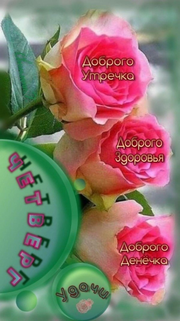 доброго утра четверг