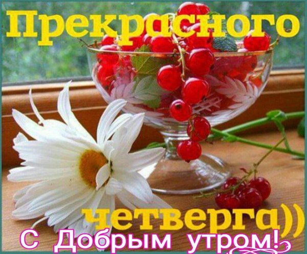прекрасного утра и хорошего дня