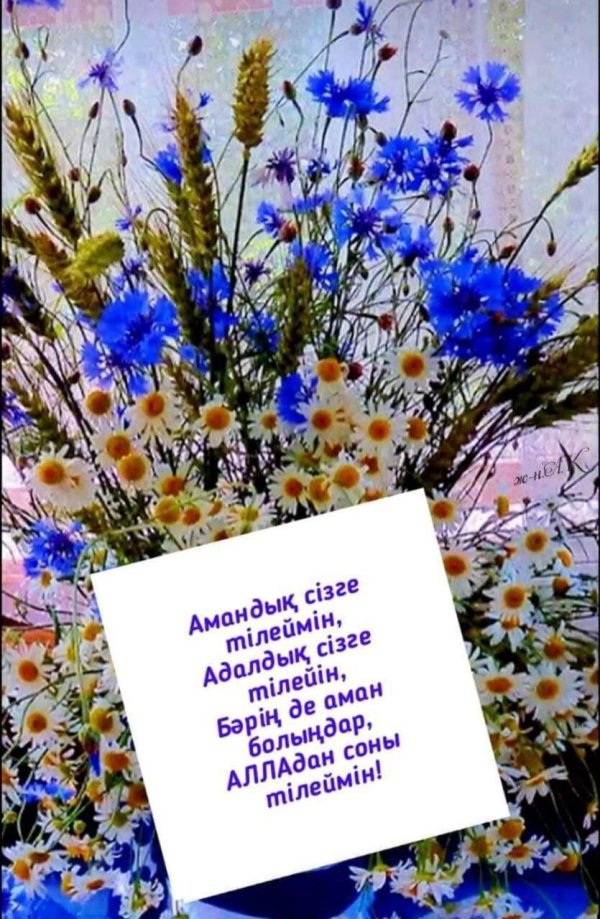 полевой цветок