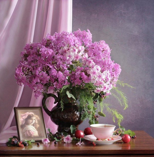 крамской флоксы