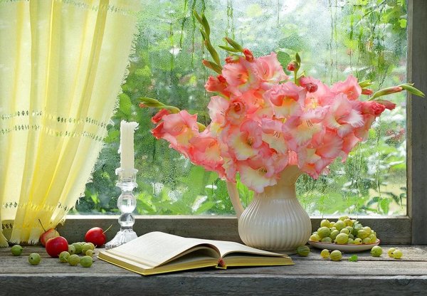 цветы в вазе на окне