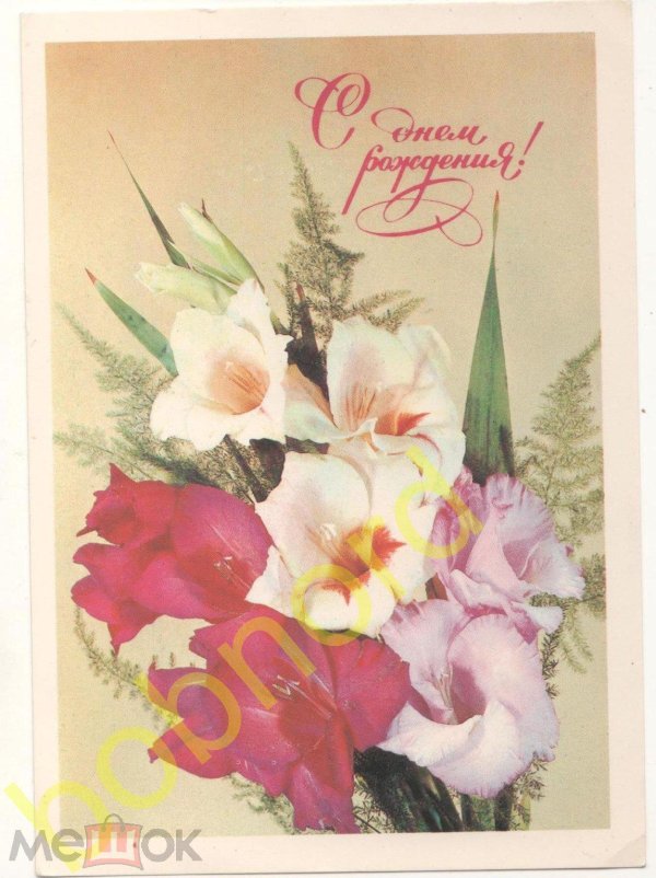 открытка гладиолусы